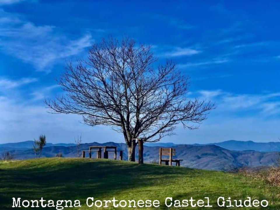 Tenuta La Scure La Cappella Vila Cortona Exterior foto